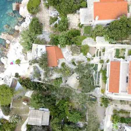 Marcelina Hvar 흐바르